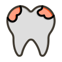 Strengthens Teeth and Prevents Gum Issues